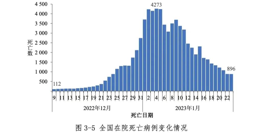 中国最新疫情科技防线，智能守护先锋重塑抗疫体验的挑战与应对！