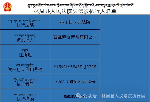 2024新澳正版资料最新更新,实地观察解释定义_社区版43.381
