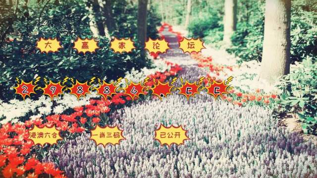 一肖一码一一肖一子深圳,系统科学_解密版86.666