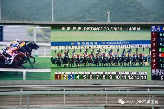 ＂2024香港赛马全年免费资料＂的：灵活性执行方案_标准版9.49
