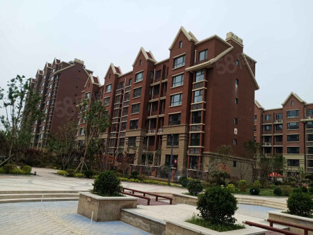莘县房价行情分析，市场现状与趋势预测