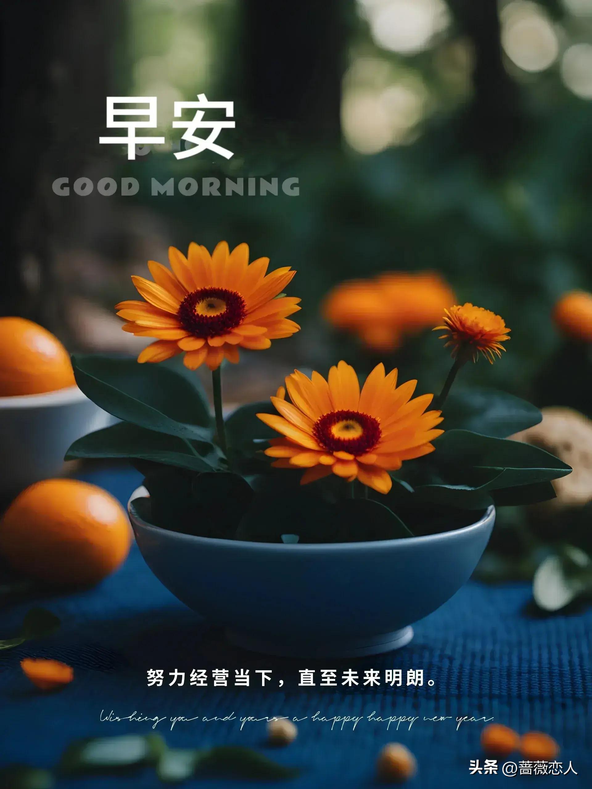 2024年天天彩免费资料,全面性解释说明_线上版98.393
