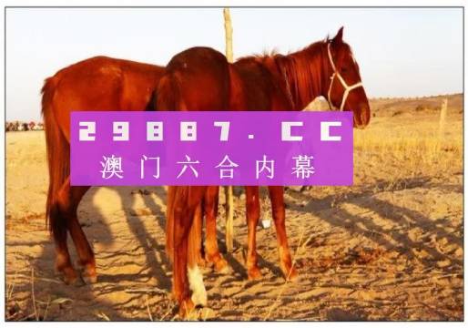 2024澳门天天开好彩大全开奖结果,现况评判解释说法_养生版5.297